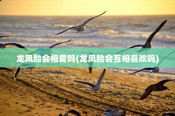 龙凤胎会相爱吗(龙凤胎会互相喜欢吗)