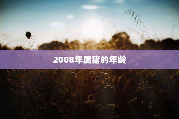 2008年属猪的年龄