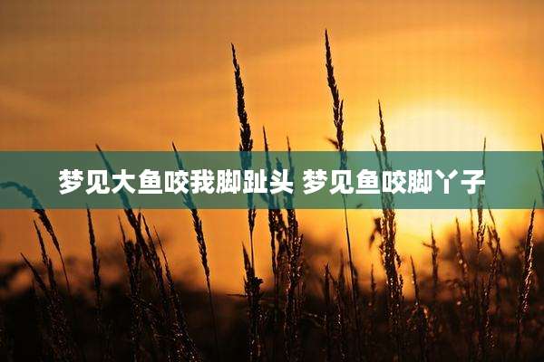 梦见大鱼咬我脚趾头 梦见鱼咬脚丫子