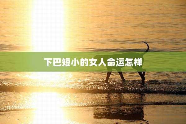 下巴短小的女人命运怎样