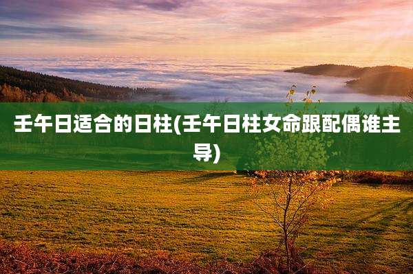壬午日适合的日柱(壬午日柱女命跟配偶谁主导)