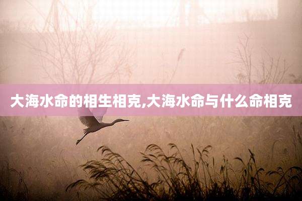 大海水命的相生相克,大海水命与什么命相克