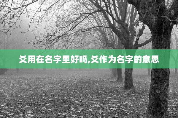 爻用在名字里好吗,爻作为名字的意思