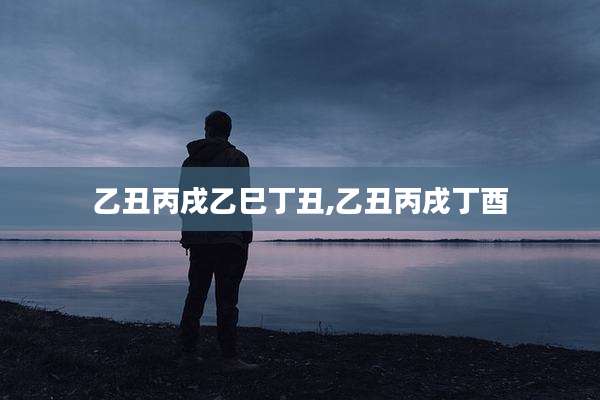 乙丑丙戌乙巳丁丑,乙丑丙戌丁酉