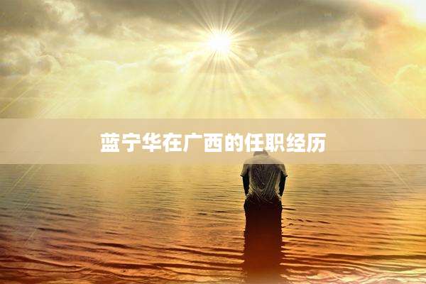 蓝宁华在广西的任职经历