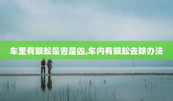 车里有蜈蚣是吉是凶,车内有蜈蚣去除办法