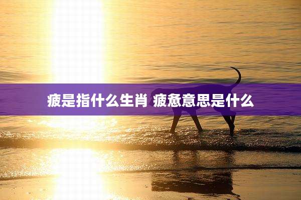 疲是指什么生肖 疲惫意思是什么