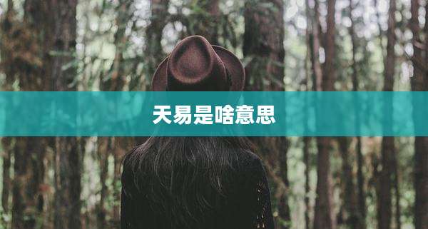 天易是啥意思