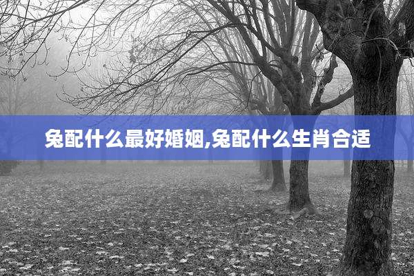 兔配什么最好婚姻,兔配什么生肖合适