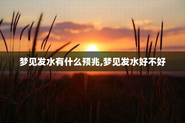 梦见发水有什么预兆,梦见发水好不好