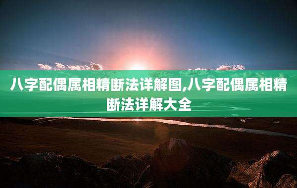 八字配偶属相精断法详解图,八字配偶属相精断法详解大全
