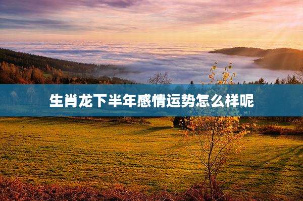 生肖龙下半年感情运势怎么样呢