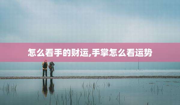 怎么看手的财运,手掌怎么看运势