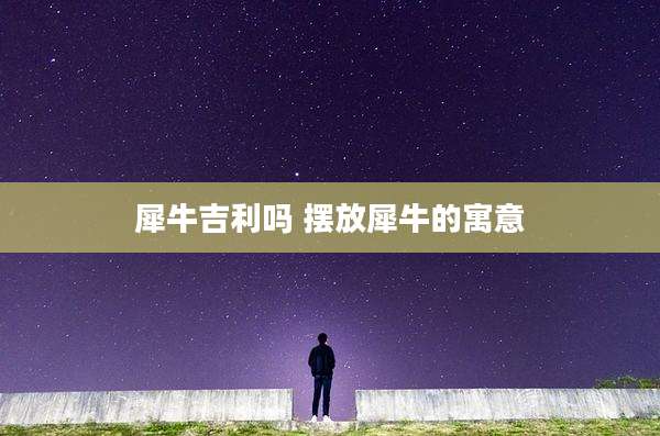 犀牛吉利吗 摆放犀牛的寓意