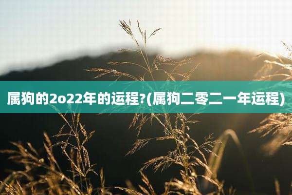 属狗的2o22年的运程?(属狗二零二一年运程)