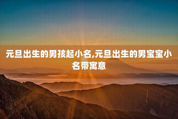 元旦出生的男孩起小名,元旦出生的男宝宝小名带寓意