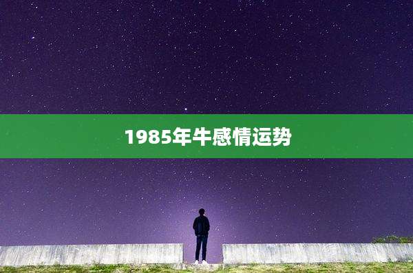 1985年牛感情运势