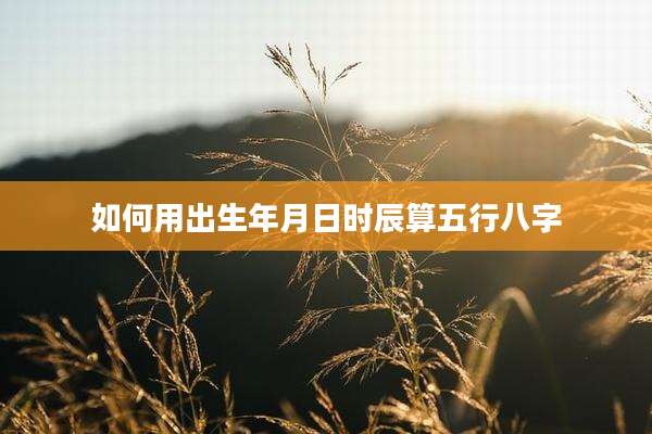 如何用出生年月日时辰算五行八字