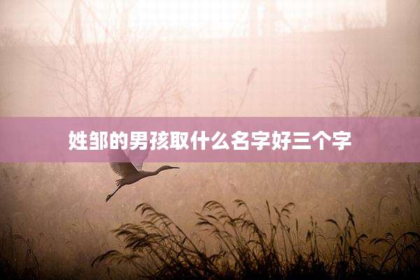 姓邹的男孩取什么名字好三个字
