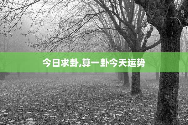 今日求卦,算一卦今天运势