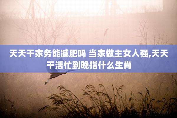 天天干家务能减肥吗 当家做主女人强,天天干活忙到晚指什么生肖