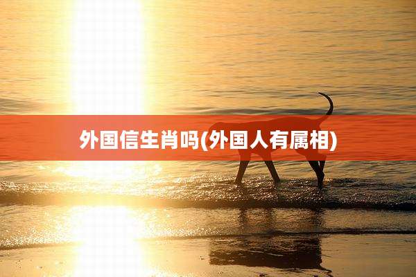 外国信生肖吗(外国人有属相)