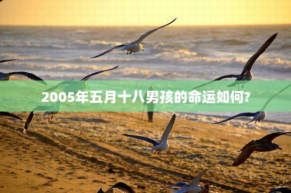 2005年五月十八男孩的命运如何?
