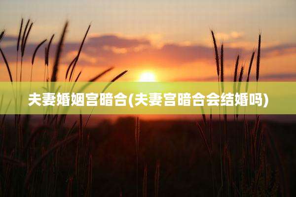 夫妻婚姻宫暗合(夫妻宫暗合会结婚吗)