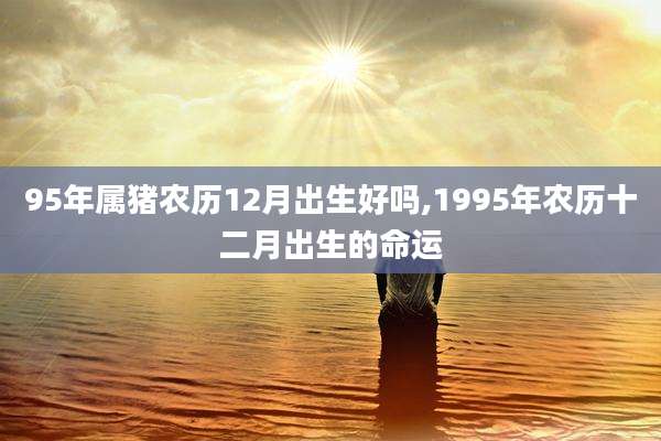 95年属猪农历12月出生好吗,1995年农历十二月出生的命运