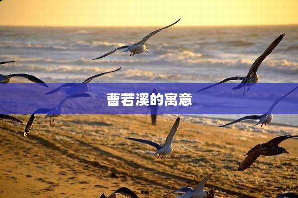 曹若溪的寓意
