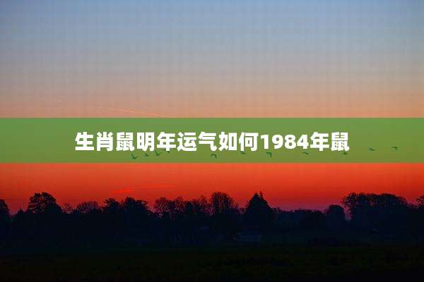 生肖鼠明年运气如何1984年鼠