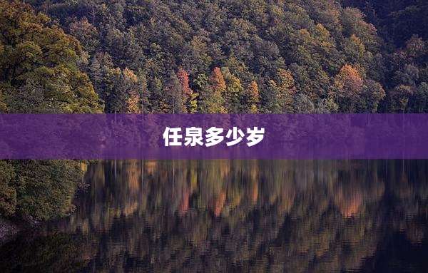 任泉多少岁