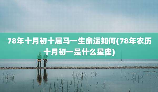 78年十月初十属马一生命运如何(78年农历十月初一是什么星座)