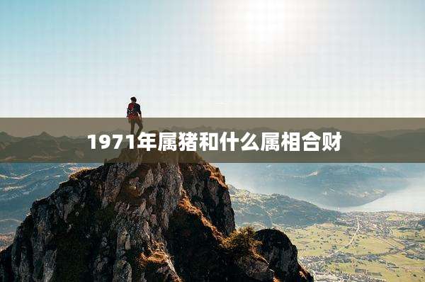 1971年属猪和什么属相合财