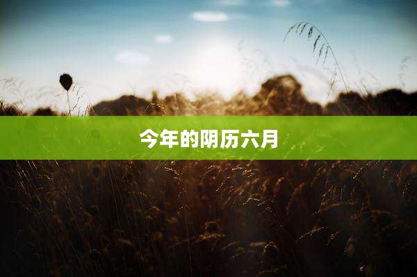 今年的阴历六月