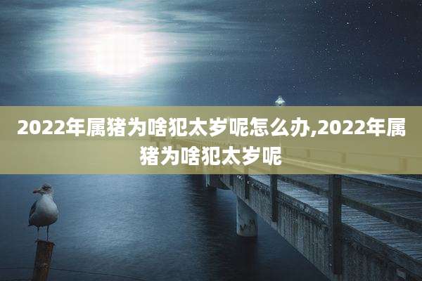 2022年属猪为啥犯太岁呢怎么办,2022年属猪为啥犯太岁呢
