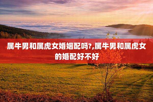 属牛男和属虎女婚姻配吗?,属牛男和属虎女的婚配好不好
