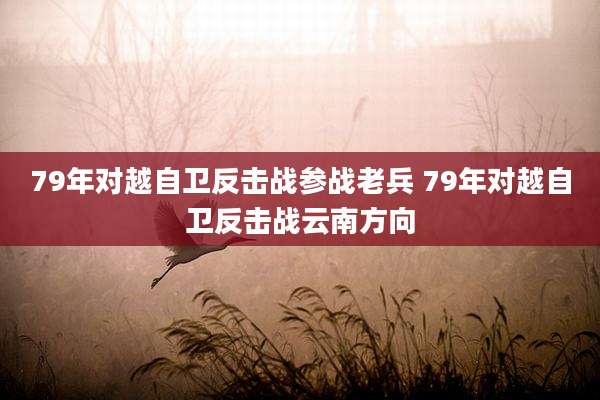 79年对越自卫反击战参战老兵 79年对越自卫反击战云南方向