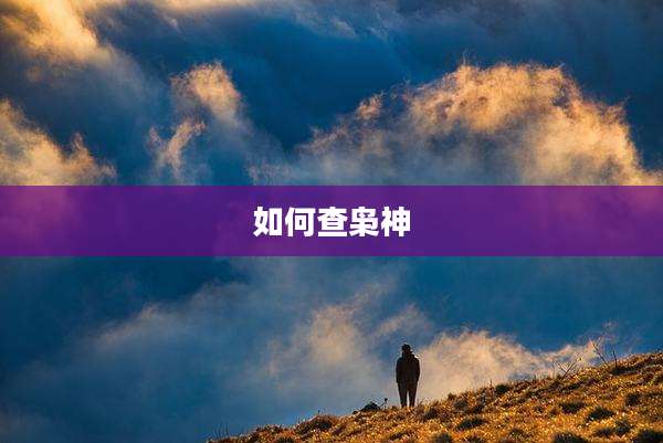 如何查枭神