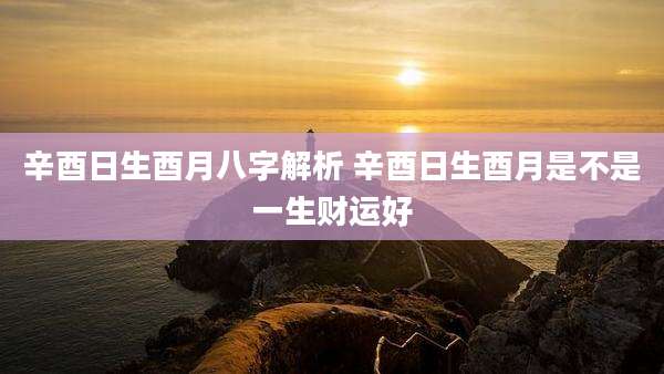辛酉日生酉月八字解析 辛酉日生酉月是不是一生财运好