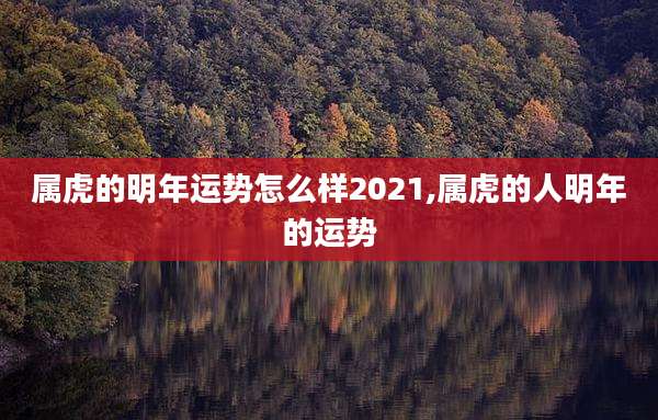 属虎的明年运势怎么样2021,属虎的人明年的运势