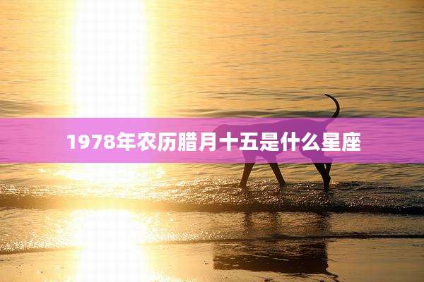 1978年农历腊月十五是什么星座