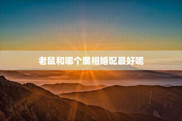 老鼠和哪个属相婚配最好呢
