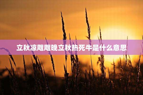 立秋凉飕飕晚立秋热死牛是什么意思