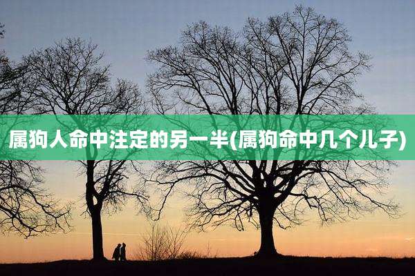 属狗人命中注定的另一半(属狗命中几个儿子)