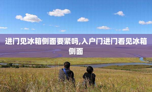 进门见冰箱侧面要紧吗,入户门进门看见冰箱侧面