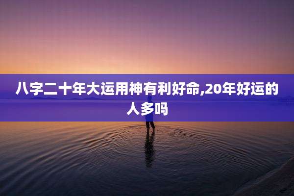 八字二十年大运用神有利好命,20年好运的人多吗