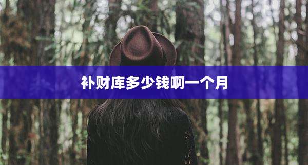 补财库多少钱啊一个月