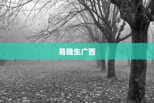 易晚生广西