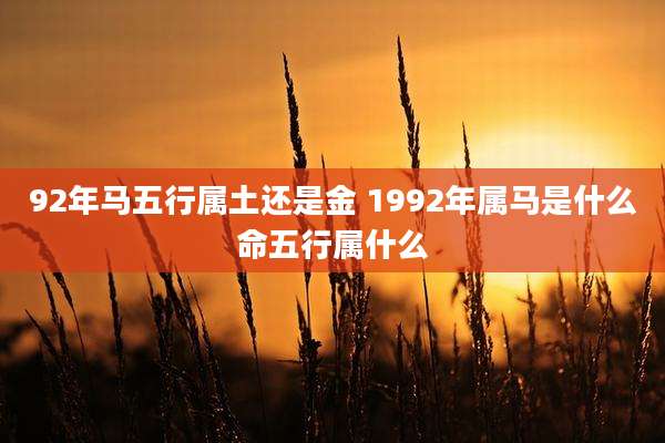 92年马五行属土还是金 1992年属马是什么命五行属什么